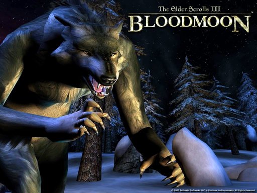 Elder Scrolls III: Bloodmoon, The - BloodMoon