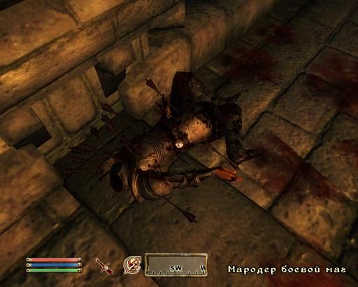Elder Scrolls IV: Oblivion, The - Скриншоты игроков.