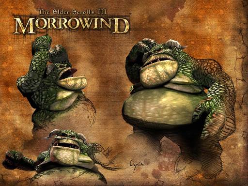Elder Scrolls III: Morrowind, The - Экраны загрузок