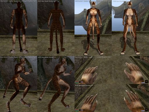 Elder Scrolls III: Morrowind, The - Плагины