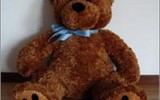 Teddy-bear-for-a-single-man-2