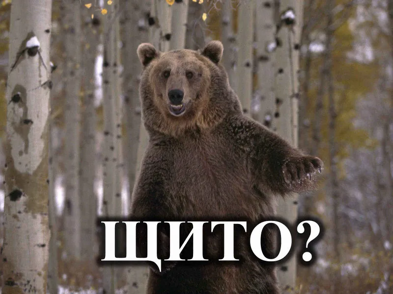 Щито_5.jpg