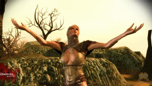 Dragon Age: Начало - Скриншоты новой компаньонки  Валлены