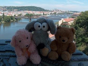 В Чехии открылось турагентство для плюшевых медведей.