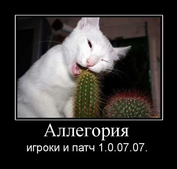 showi%D1%80%D1%80%D1%80mg.php.jpg?126695