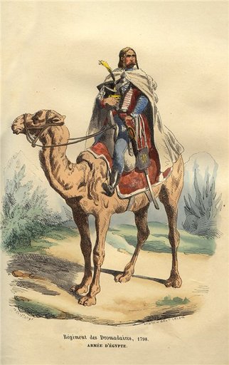Napoleon: Total War - Региональные войска