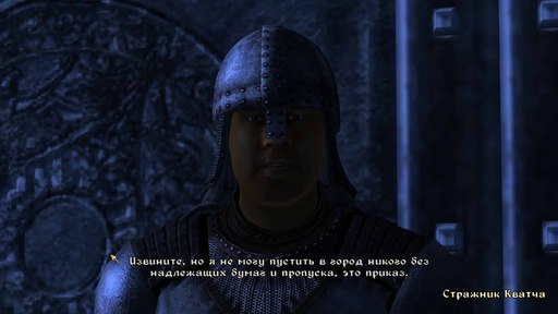 Elder Scrolls IV: Oblivion, The - Свой Рафшан в Обливионе, или как последние 2 президента Украины стали нищими имперцами