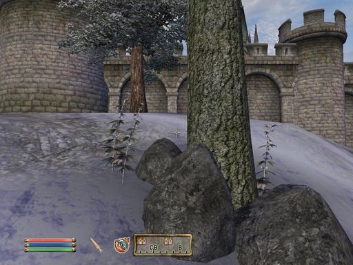 Elder Scrolls IV: Oblivion, The - Дневник имперского гастарбайтера. Том третий.