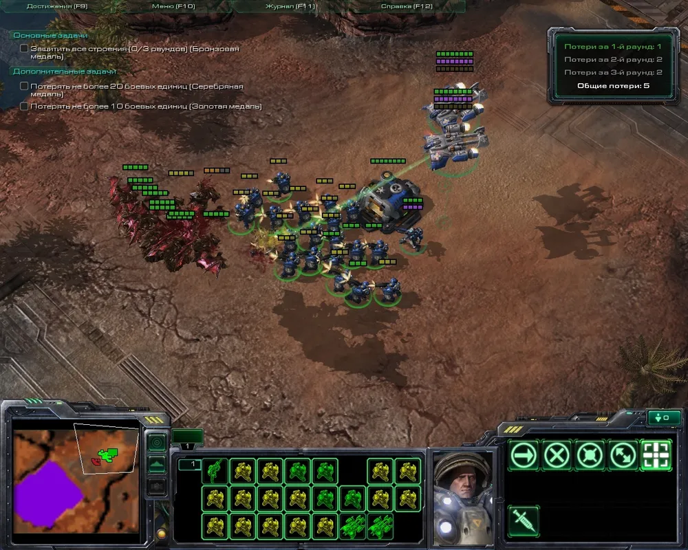 shop формы и жизнь