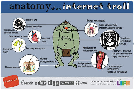 Анатомия интернет-тролля