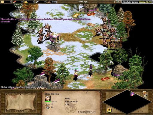 Age of Empires II: The Conquerors - Скриншоты
