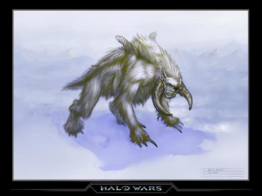 Halo Wars - Шикарные арты 