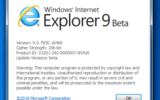 Microsoft Internet Explorer 9 (32-bit) Windows 7 9.0