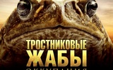 Kinopoisk-ru-cane-toads_3a-the-conquest-1366701