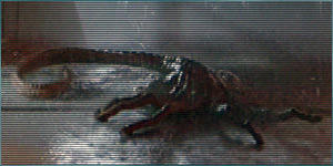 Aliens vs. Predator (2010) - "Ветер свободы" Ксеноморф (часть 3)