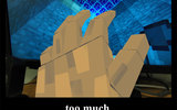 Too_much_minecraft__by_f4celessshopps-d2zmi9w