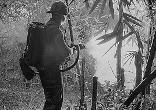 Battlefield: Bad Company 2 Vietnam - Немного истории.