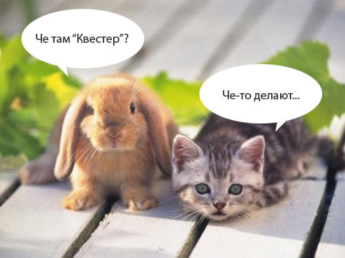 Планы по размноже... развитию на год Кролика :)