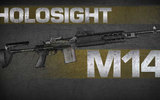M14-holosight