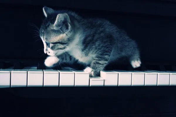 Личный блог Darrggon - Да, о том самом. 
