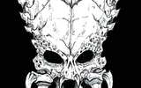 Predator_skull_by_vandalocomics-d39qxy7