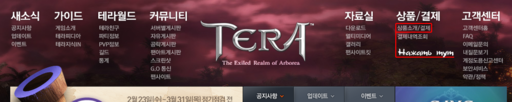 TERA: The Exiled Realm of Arborea - Стала известна новая дата выхода релиза европейской игры TERA