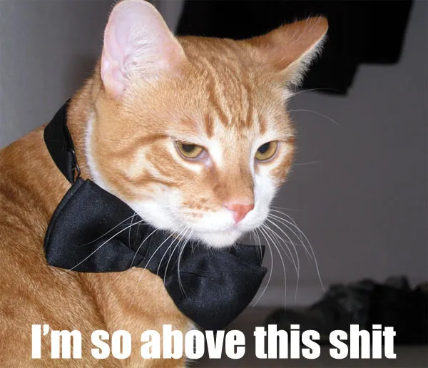 imsoabovethis.jpg?1317386038