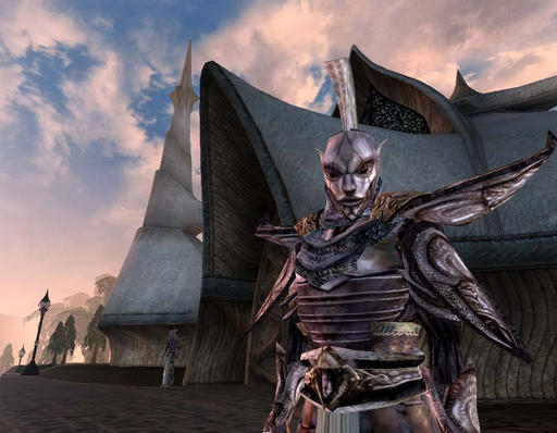 Elder Scrolls III: Morrowind, The - Воины Храма