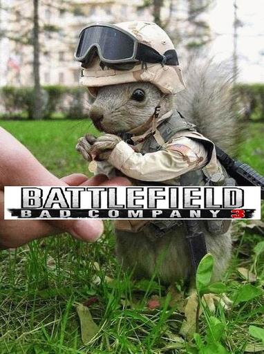 Battlefield 3 - Bad Company 3 уже в разработке?