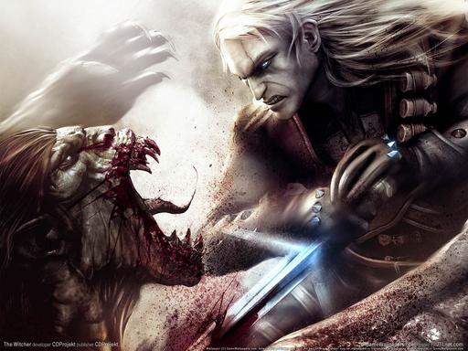 Elder Scrolls V: Skyrim, The - Сравнение The Elder Scrolls 5: Skyrim и The Witcher 2