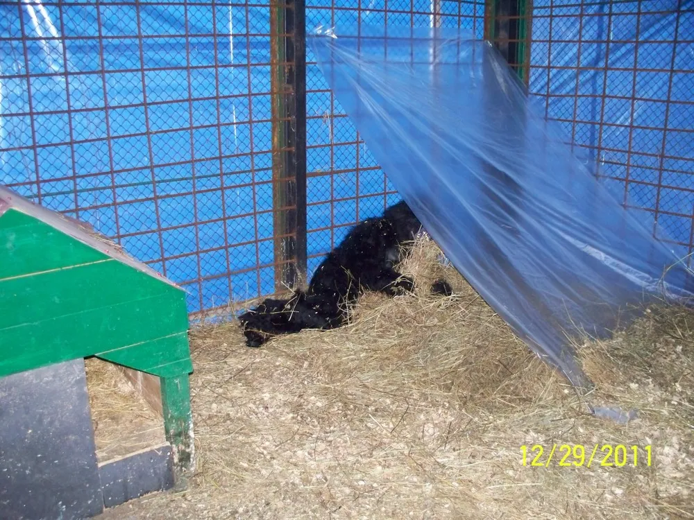 100_1504.jpg?1325147528