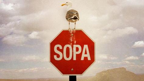 Новости - Nival — против SOPA