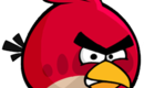 Angryredbird