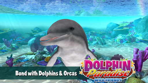 Рецензия Dolphin Paradise: Wild Friends