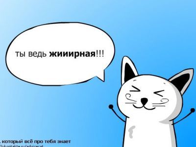 GAMER.ru - Для чата правила не писаны?