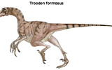 Troodon-3