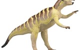 Psittacosaurus_mongoliensis_001