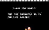 Princess-is-in-another-castle-super-mario-bros
