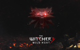 1376550625_the-witcher-3-wild-hunt-ps4