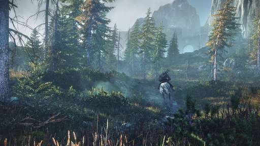 The Witcher 3: Wild Hunt - Игра стремится к 30-ти fps на консолях следующего поколения