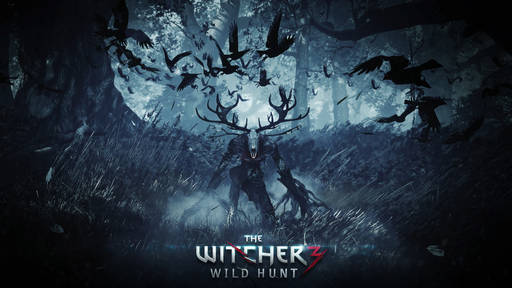The Witcher 3: Wild Hunt - Экономика не будет играть большого значения в The Witcher 3