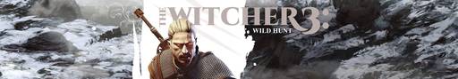 The Witcher 3: Wild Hunt - CD Projekt RED: Witcher 3 больше не задержится