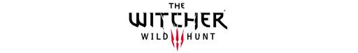 The Witcher 3: Wild Hunt - 100 часов игры - это Speedrun