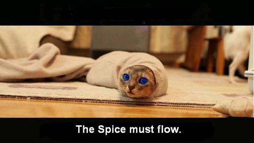 http://www.gamer.ru/system/attached_images/images/000/746/578/normal/spice_must_flow.jpg