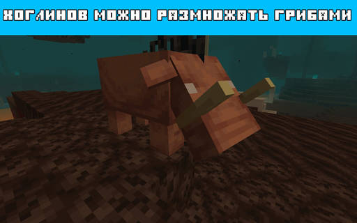 Minecraft - Новый агрессивный моб Хоглин в Майнкрафт 1.16