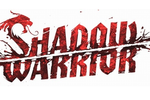 Shadow-warrior