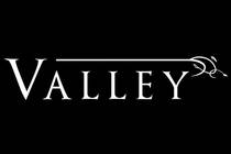 Valley – трейлер игрового процесса