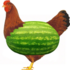 Thwatermelon-chicken