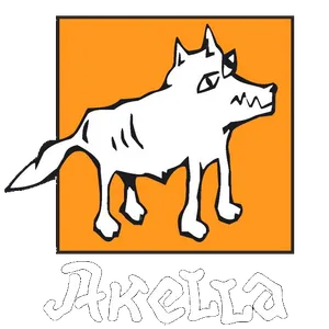Akella-logo_resize_trans