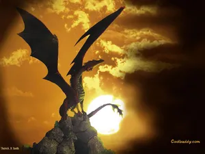 Dragon31